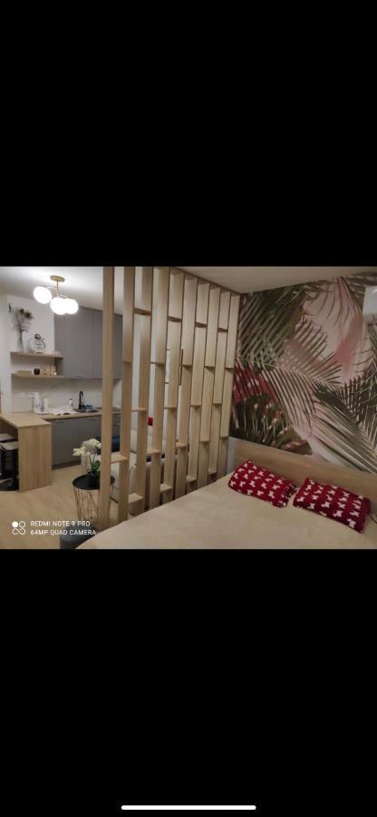 Apartman Princess Jelena Budva